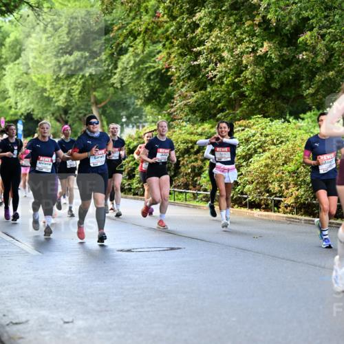 14.06.2026 - REWE Women's Run Dr. Thomas Lammeyer http://msf.ph/oto/9753993 14.06.2026 09:17:10 Laufen 10372 meine-sportfotos.de