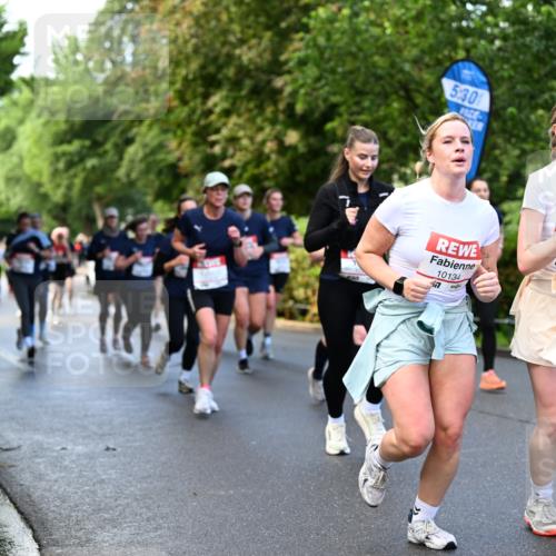 14.06.2026 - REWE Women's Run Dr. Thomas Lammeyer http://msf.ph/oto/9754211 14.06.2026 09:17:26 Laufen 5, 30, 10134, 77, 10133, 11407, 57 meine-sportfotos.de