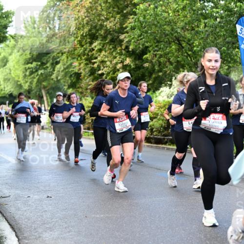 14.06.2026 - REWE Women's Run Dr. Thomas Lammeyer http://msf.ph/oto/9754221 14.06.2026 09:17:26 Laufen 11510, 57, 5, 30, 103, 10265, 57 meine-sportfotos.de