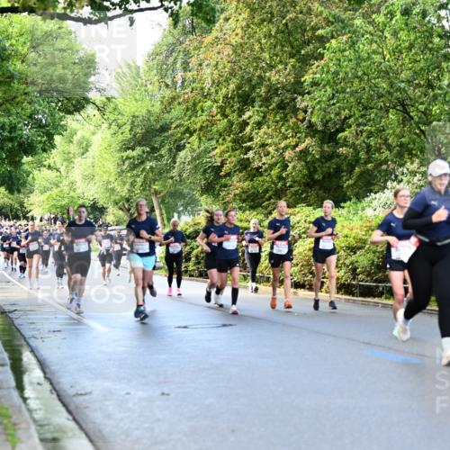 14.06.2026 - REWE Women's Run Dr. Thomas Lammeyer http://msf.ph/oto/9754503 14.06.2026 09:17:48 Laufen  meine-sportfotos.de