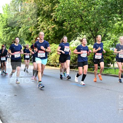 14.06.2026 - REWE Women's Run Dr. Thomas Lammeyer http://msf.ph/oto/9754549 14.06.2026 09:17:50 Laufen 10636 meine-sportfotos.de