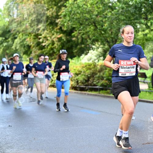 14.06.2026 - REWE Women's Run Dr. Thomas Lammeyer http://msf.ph/oto/9754761 14.06.2026 09:18:04 Laufen 10253, 7, 11312 meine-sportfotos.de