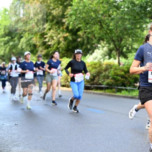 14.06.2026 - REWE Women's Run Dr. Thomas Lammeyer http://msf.ph/oto/9754766 14.06.2026 09:18:04 Laufen 10253, 7 meine-sportfotos.de