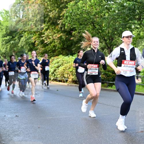14.06.2026 - REWE Women's Run Dr. Thomas Lammeyer http://msf.ph/oto/9754824 14.06.2026 09:18:08 Laufen 10565, 10576, 7, 11132, 7 meine-sportfotos.de