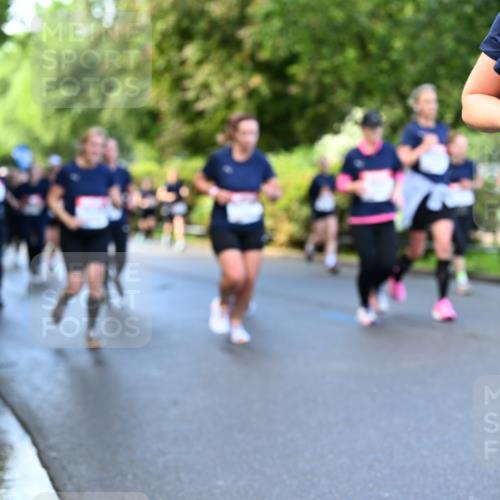 14.06.2026 - REWE Women's Run Dr. Thomas Lammeyer http://msf.ph/oto/9755176 14.06.2026 09:18:38 Laufen 1078 meine-sportfotos.de
