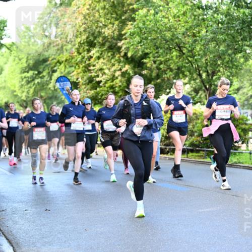 14.06.2026 - REWE Women's Run Dr. Thomas Lammeyer http://msf.ph/oto/9755234 14.06.2026 09:18:44 Laufen 8, 00, 11 meine-sportfotos.de