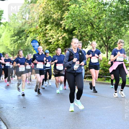 14.06.2026 - REWE Women's Run Dr. Thomas Lammeyer http://msf.ph/oto/9755236 14.06.2026 09:18:44 Laufen 6, 00 meine-sportfotos.de
