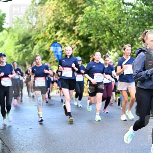14.06.2026 - REWE Women's Run Dr. Thomas Lammeyer http://msf.ph/oto/9755248 14.06.2026 09:18:45 Laufen 100 meine-sportfotos.de