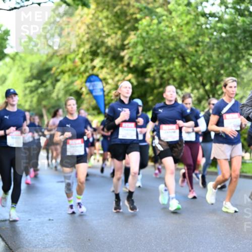 14.06.2026 - REWE Women's Run Dr. Thomas Lammeyer http://msf.ph/oto/9755255 14.06.2026 09:18:45 Laufen 1100, 7 meine-sportfotos.de