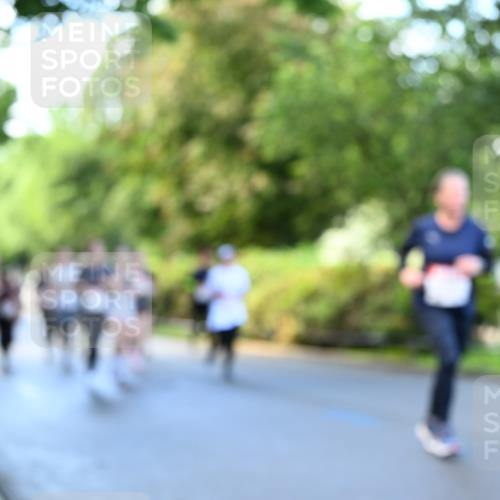 14.06.2026 - REWE Women's Run Dr. Thomas Lammeyer http://msf.ph/oto/9755395 14.06.2026 09:18:56 Laufen  meine-sportfotos.de