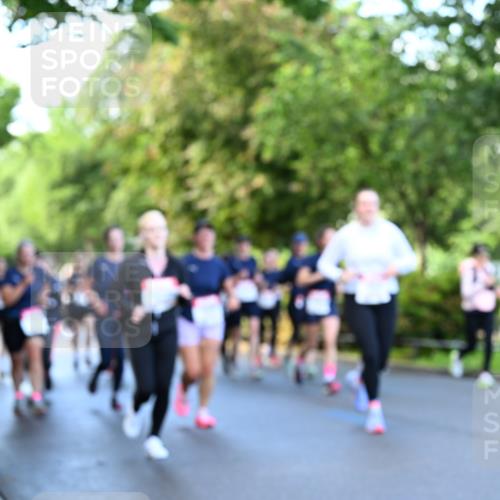 14.06.2026 - REWE Women's Run Dr. Thomas Lammeyer http://msf.ph/oto/9755626 14.06.2026 09:19:10 Laufen  meine-sportfotos.de