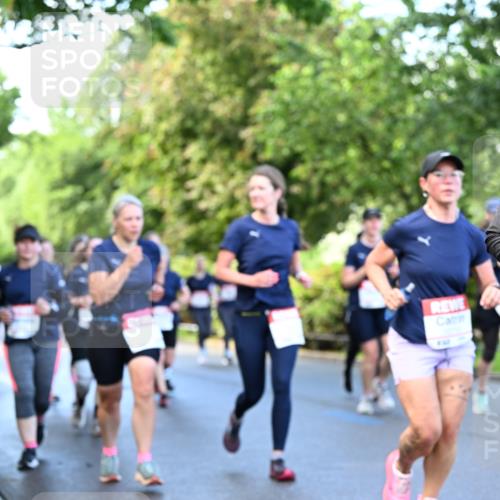 14.06.2026 - REWE Women's Run Dr. Thomas Lammeyer http://msf.ph/oto/9755657 14.06.2026 09:19:13 Laufen 10, 57 meine-sportfotos.de