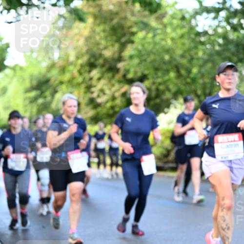 14.06.2026 - REWE Women's Run Dr. Thomas Lammeyer http://msf.ph/oto/9755660 14.06.2026 09:19:13 Laufen  meine-sportfotos.de