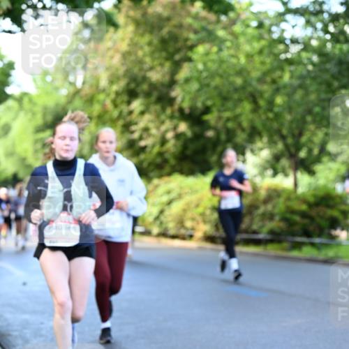 14.06.2026 - REWE Women's Run Dr. Thomas Lammeyer http://msf.ph/oto/9755720 14.06.2026 09:19:17 Laufen 1 meine-sportfotos.de
