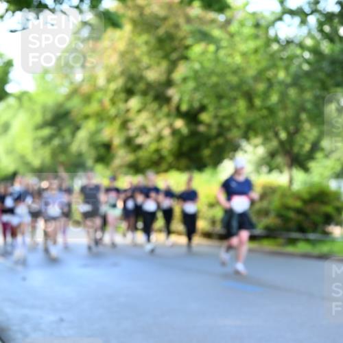14.06.2026 - REWE Women's Run Dr. Thomas Lammeyer http://msf.ph/oto/9755745 14.06.2026 09:19:19 Laufen  meine-sportfotos.de