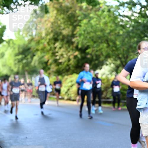 14.06.2026 - REWE Women's Run Dr. Thomas Lammeyer http://msf.ph/oto/9756009 14.06.2026 09:19:38 Laufen 10831 meine-sportfotos.de