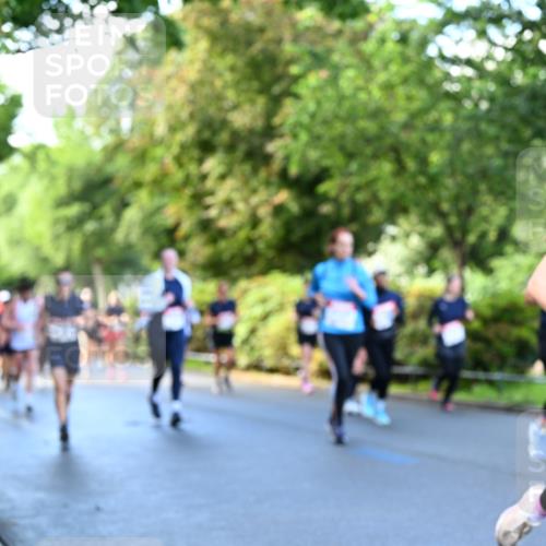 14.06.2026 - REWE Women's Run Dr. Thomas Lammeyer http://msf.ph/oto/9756015 14.06.2026 09:19:38 Laufen  meine-sportfotos.de