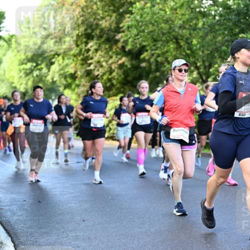 14.06.2026 - REWE Women's Run Dr. Thomas Lammeyer http://msf.ph/oto/9756119 14.06.2026 09:19:46 Laufen 110, 11037, 7, 10974 meine-sportfotos.de