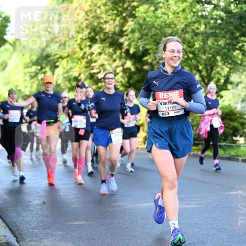 14.06.2026 - REWE Women's Run Dr. Thomas Lammeyer http://msf.ph/oto/9756203 14.06.2026 09:19:53 Laufen 11162 meine-sportfotos.de