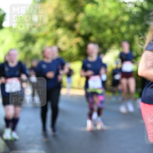 14.06.2026 - REWE Women's Run Dr. Thomas Lammeyer http://msf.ph/oto/9756272 14.06.2026 09:19:58 Laufen  meine-sportfotos.de