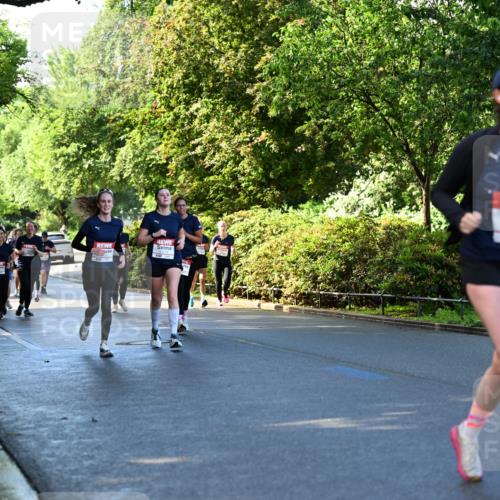 14.06.2026 - REWE Women's Run Dr. Thomas Lammeyer http://msf.ph/oto/9756363 14.06.2026 09:20:04 Laufen  meine-sportfotos.de