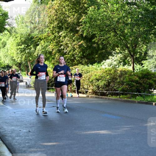 14.06.2026 - REWE Women's Run Dr. Thomas Lammeyer http://msf.ph/oto/9756374 14.06.2026 09:20:05 Laufen  meine-sportfotos.de