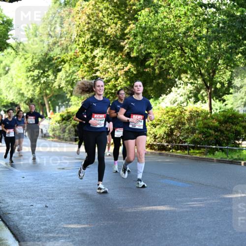 14.06.2026 - REWE Women's Run Dr. Thomas Lammeyer http://msf.ph/oto/9756388 14.06.2026 09:20:06 Laufen 171 meine-sportfotos.de