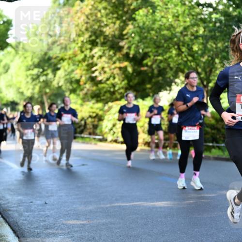 14.06.2026 - REWE Women's Run Dr. Thomas Lammeyer http://msf.ph/oto/9756416 14.06.2026 09:20:08 Laufen 10956, 7 meine-sportfotos.de