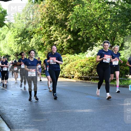 14.06.2026 - REWE Women's Run Dr. Thomas Lammeyer http://msf.ph/oto/9756440 14.06.2026 09:20:09 Laufen 278 meine-sportfotos.de