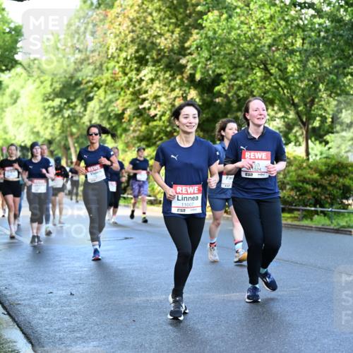 14.06.2026 - REWE Women's Run Dr. Thomas Lammeyer http://msf.ph/oto/9756465 14.06.2026 09:20:11 Laufen 11007, 57, 1524, 7 meine-sportfotos.de