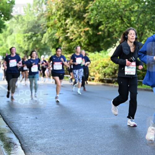 14.06.2026 - REWE Women's Run Dr. Thomas Lammeyer http://msf.ph/oto/9756563 14.06.2026 09:20:18 Laufen 10527, 57, 10645 meine-sportfotos.de