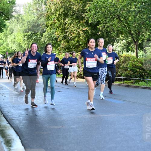 14.06.2026 - REWE Women's Run Dr. Thomas Lammeyer http://msf.ph/oto/9756581 14.06.2026 09:20:20 Laufen  meine-sportfotos.de