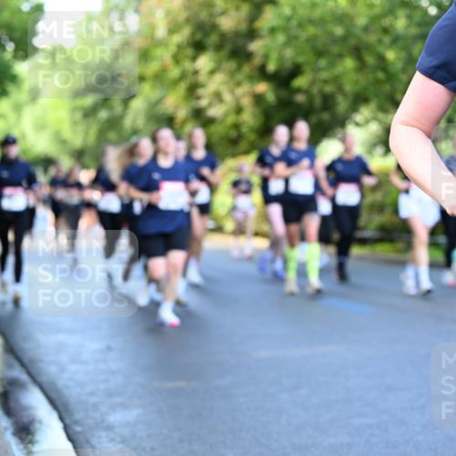 14.06.2026 - REWE Women's Run Dr. Thomas Lammeyer http://msf.ph/oto/9756619 14.06.2026 09:20:23 Laufen 1120, 7 meine-sportfotos.de