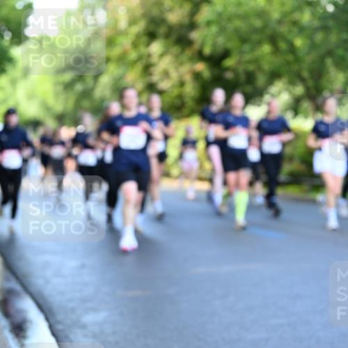 14.06.2026 - REWE Women's Run Dr. Thomas Lammeyer http://msf.ph/oto/9756622 14.06.2026 09:20:23 Laufen  meine-sportfotos.de