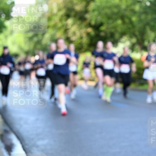 14.06.2026 - REWE Women's Run Dr. Thomas Lammeyer http://msf.ph/oto/9756623 14.06.2026 09:20:23 Laufen  meine-sportfotos.de