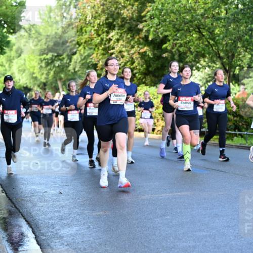 14.06.2026 - REWE Women's Run Dr. Thomas Lammeyer http://msf.ph/oto/9756626 14.06.2026 09:20:23 Laufen 10764, 657, 832 meine-sportfotos.de
