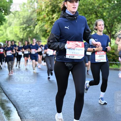 14.06.2026 - REWE Women's Run Dr. Thomas Lammeyer http://msf.ph/oto/9756675 14.06.2026 09:20:26 Laufen 11066, 7, 10, 10817, 10647, 57 meine-sportfotos.de