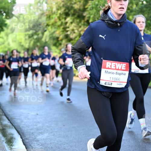 14.06.2026 - REWE Women's Run Dr. Thomas Lammeyer http://msf.ph/oto/9756678 14.06.2026 09:20:27 Laufen 11066 meine-sportfotos.de