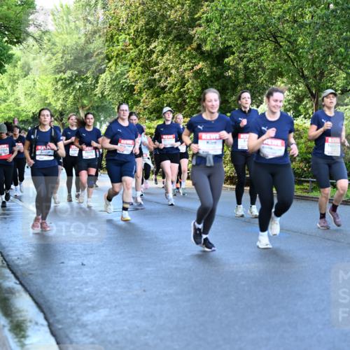 14.06.2026 - REWE Women's Run Dr. Thomas Lammeyer http://msf.ph/oto/9756684 14.06.2026 09:20:28 Laufen  meine-sportfotos.de