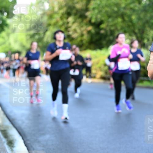 14.06.2026 - REWE Women's Run Dr. Thomas Lammeyer http://msf.ph/oto/9756770 14.06.2026 09:20:34 Laufen 10 meine-sportfotos.de