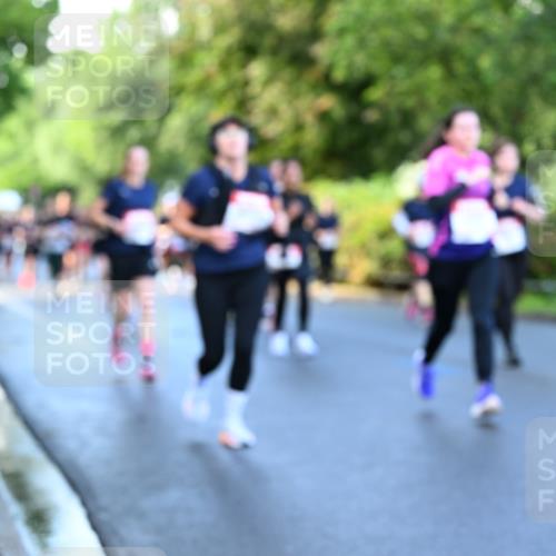 14.06.2026 - REWE Women's Run Dr. Thomas Lammeyer http://msf.ph/oto/9756771 14.06.2026 09:20:34 Laufen  meine-sportfotos.de