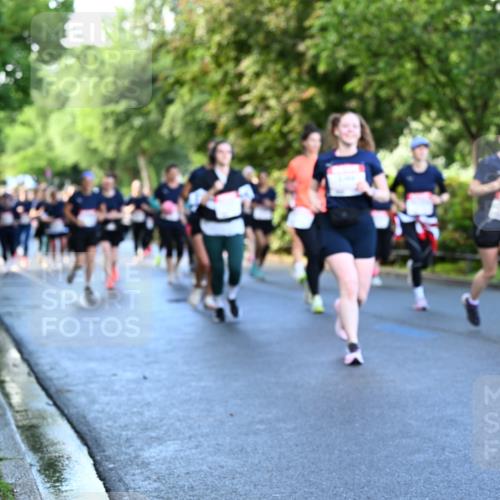 14.06.2026 - REWE Women's Run Dr. Thomas Lammeyer http://msf.ph/oto/9756835 14.06.2026 09:20:40 Laufen  meine-sportfotos.de