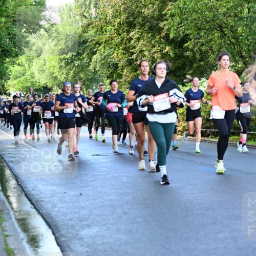 14.06.2026 - REWE Women's Run Dr. Thomas Lammeyer http://msf.ph/oto/9756851 14.06.2026 09:20:41 Laufen  meine-sportfotos.de
