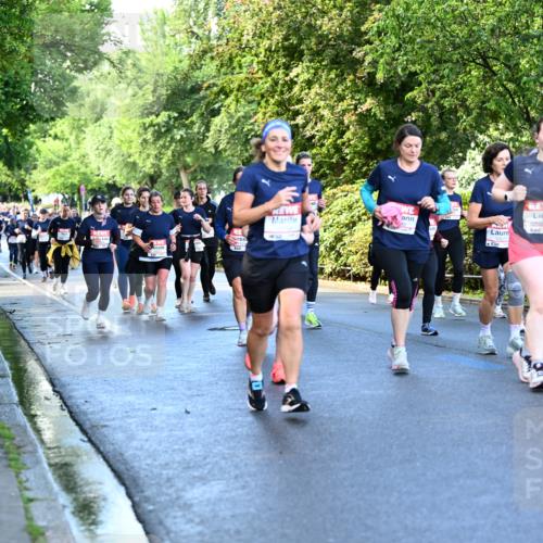 14.06.2026 - REWE Women's Run Dr. Thomas Lammeyer http://msf.ph/oto/9756884 14.06.2026 09:20:44 Laufen  meine-sportfotos.de