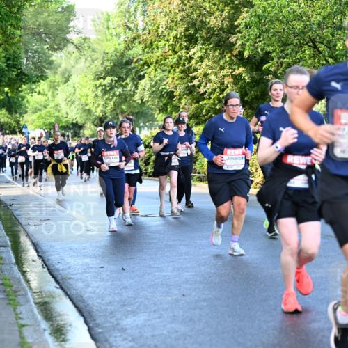 14.06.2026 - REWE Women's Run Dr. Thomas Lammeyer http://msf.ph/oto/9756908 14.06.2026 09:20:46 Laufen 888 meine-sportfotos.de