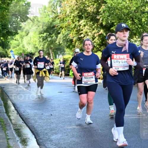 14.06.2026 - REWE Women's Run Dr. Thomas Lammeyer http://msf.ph/oto/9756964 14.06.2026 09:20:49 Laufen 10371, 10668, 7, 11068 meine-sportfotos.de