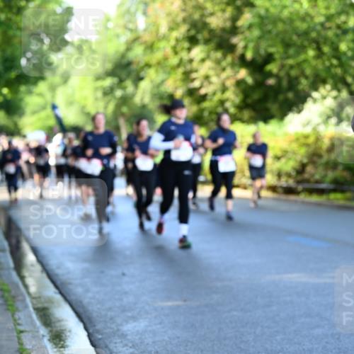 14.06.2026 - REWE Women's Run Dr. Thomas Lammeyer http://msf.ph/oto/9757041 14.06.2026 09:20:54 Laufen  meine-sportfotos.de
