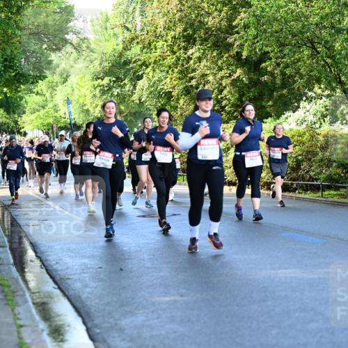 14.06.2026 - REWE Women's Run Dr. Thomas Lammeyer http://msf.ph/oto/9757051 14.06.2026 09:20:55 Laufen  meine-sportfotos.de