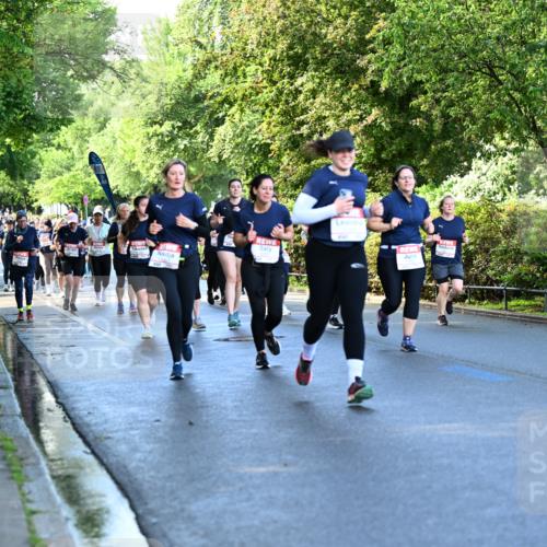 14.06.2026 - REWE Women's Run Dr. Thomas Lammeyer http://msf.ph/oto/9757053 14.06.2026 09:20:55 Laufen  meine-sportfotos.de