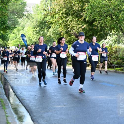 14.06.2026 - REWE Women's Run Dr. Thomas Lammeyer http://msf.ph/oto/9757056 14.06.2026 09:20:55 Laufen 6, 30 meine-sportfotos.de